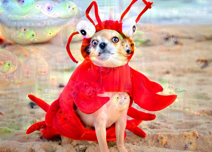 shrimp dog