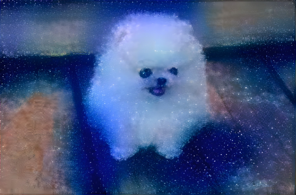 galaxy dog