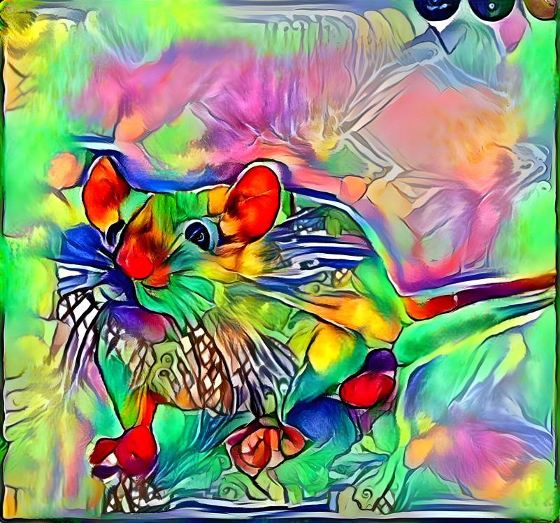 Rainbow mouse!!!