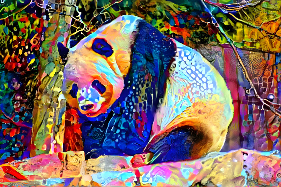 beautiful panda