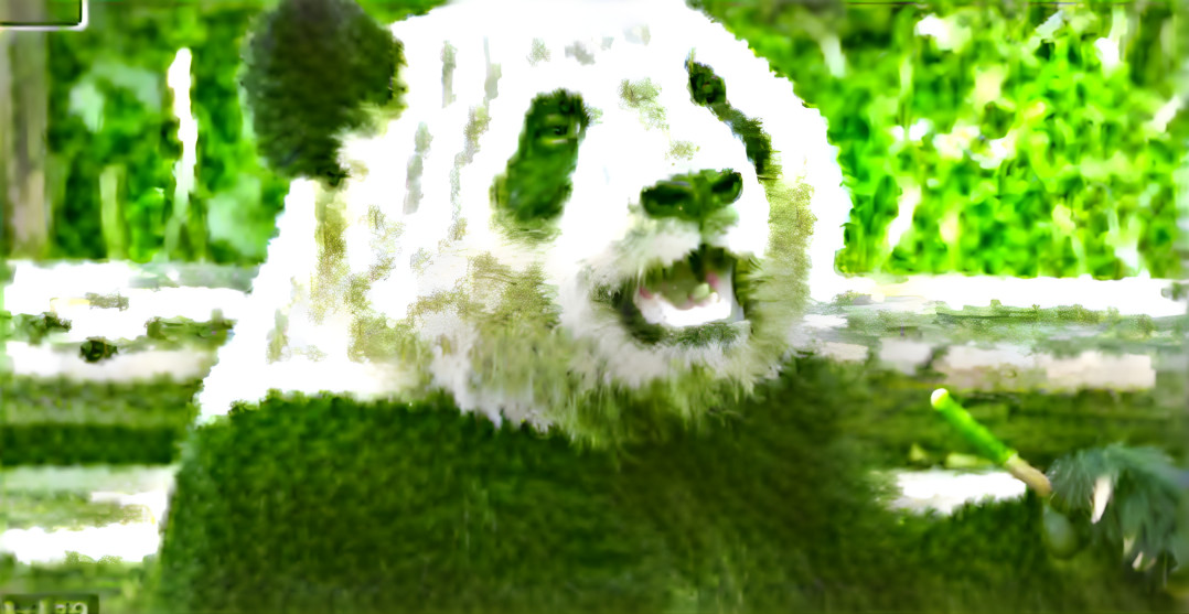 panda