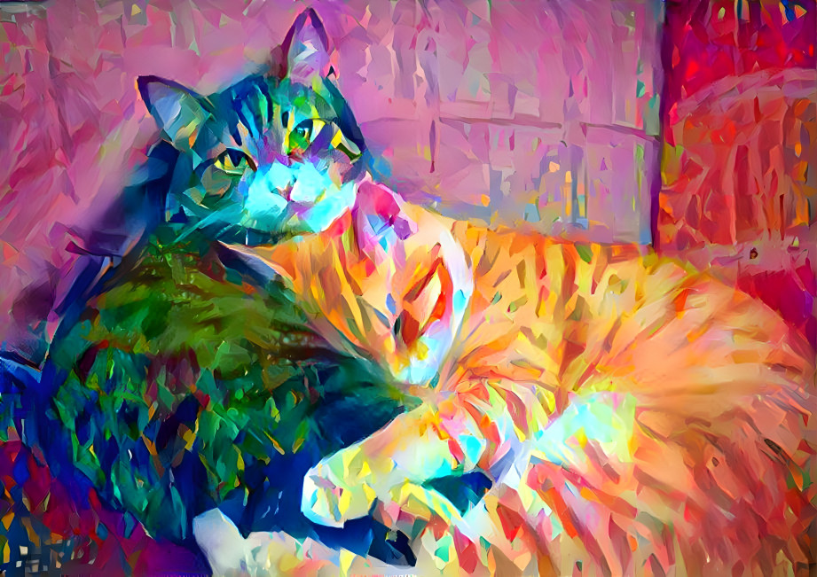 Two Cats