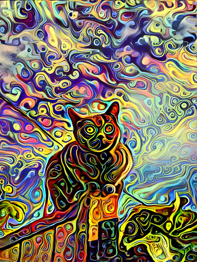 Mystic cats