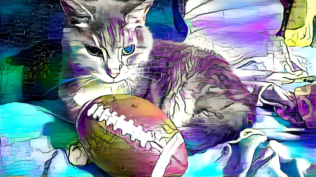 Turkey the football cat