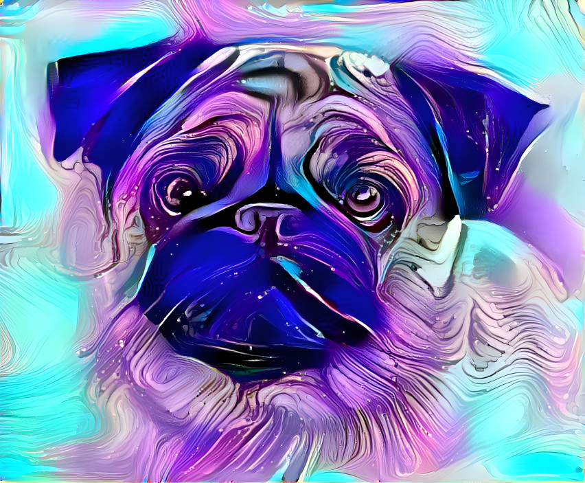 pug