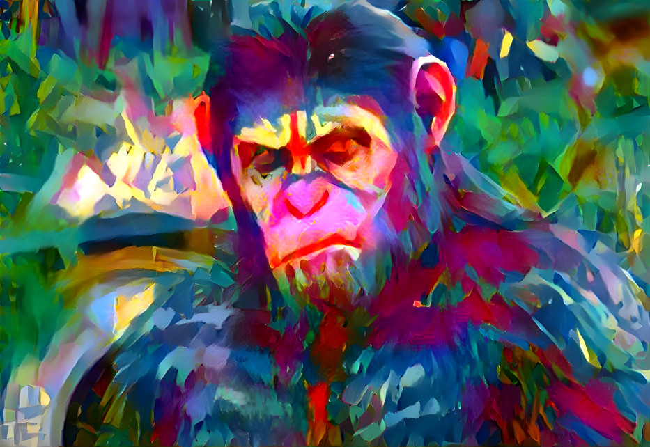 monkey