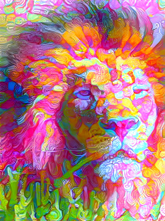 lion