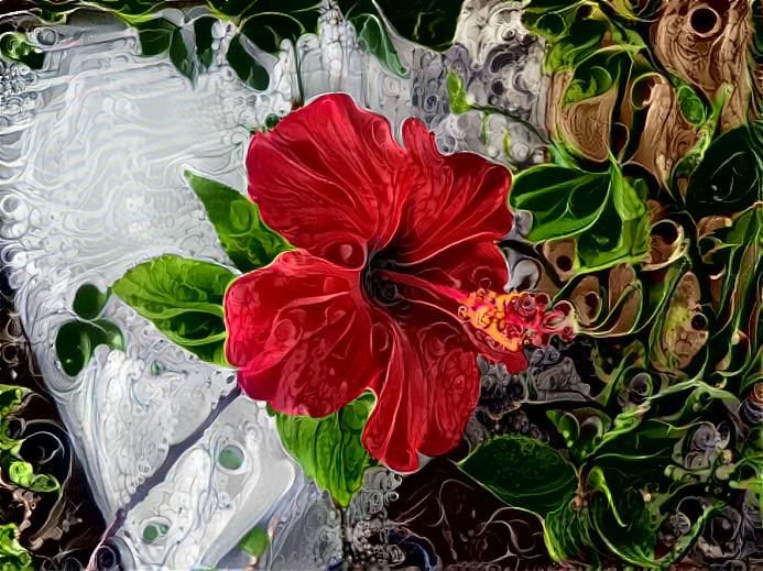 Hibiscus