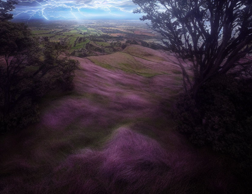 Mystical landscape with pink grass, dark trees, lightning, stormy sky