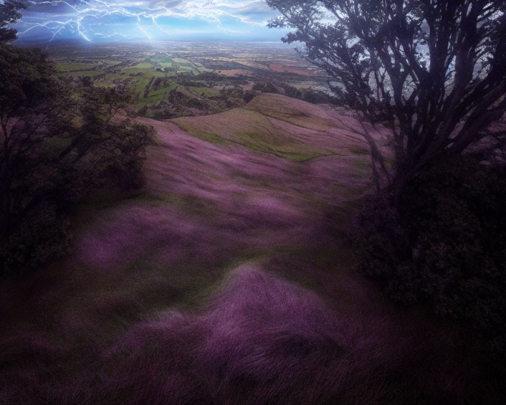 Mystical landscape with pink grass, dark trees, lightning, stormy sky