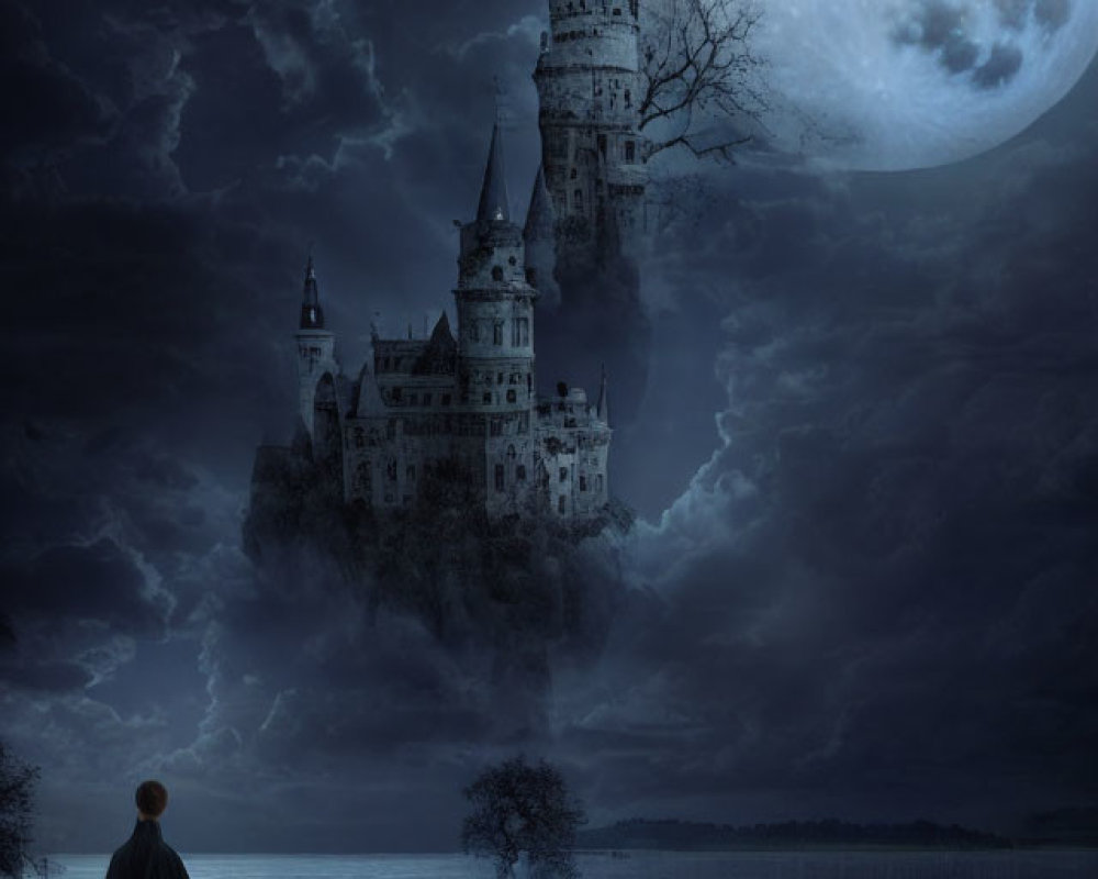 Cloaked figure by lake admires castle under moonlit sky