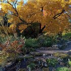 Autumn woodland landscape with colorful trees, pond reflection, wildflowers, and golden leaves