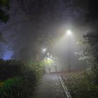 Full Moon Nighttime Scene: Serene Village with Church and Silhouetted Trees