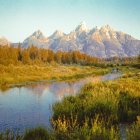 Tranquil Landscape: Reflective Lake, Meadow, Snow-Capped Mountains