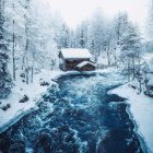 Snow-covered trees, frozen river, wooden bridge in serene winter landscape.