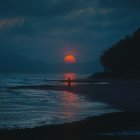 Scenic red sunset over dark water with tree silhouettes