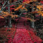 Vibrant autumn forest path with red and orange foliage