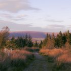 Autumn forest path painting with mountains and cloudy sky