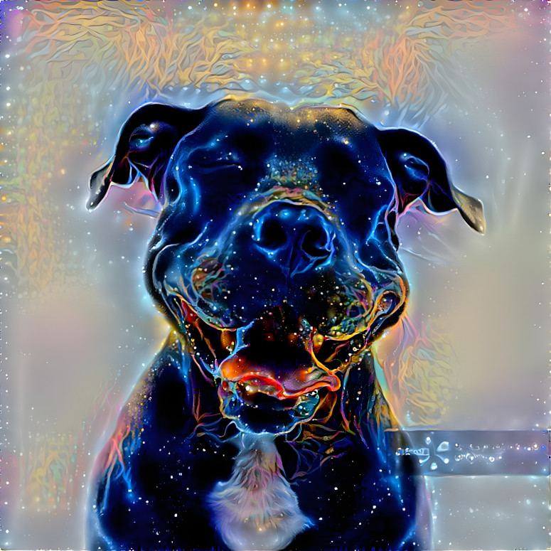 Cosmic dog