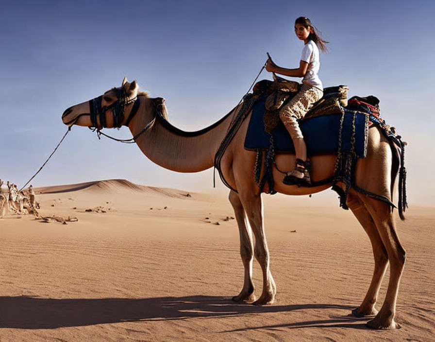 Person riding camel in desert landscape with decorative saddlery