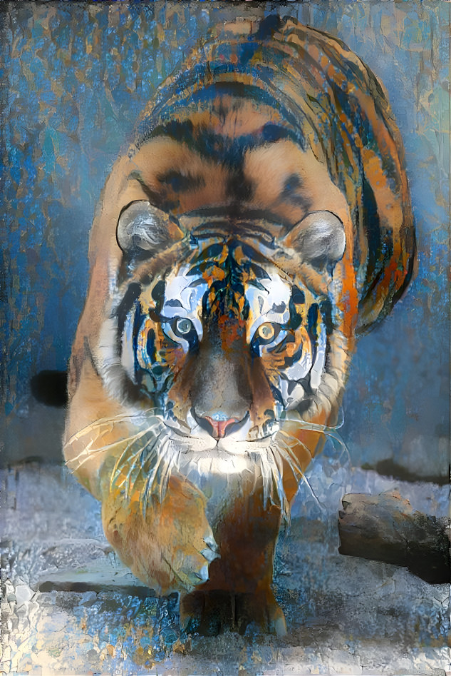 tiger