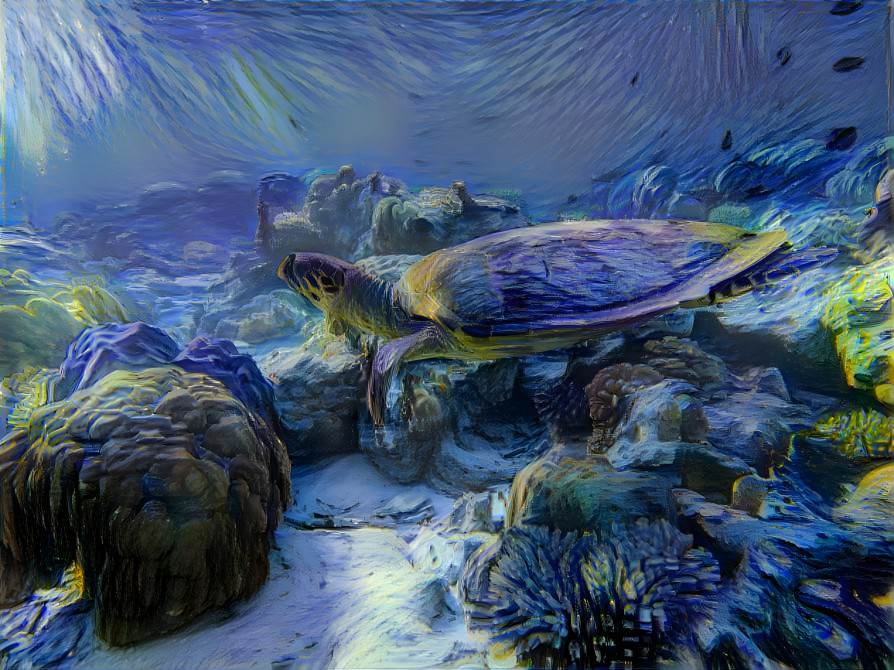 Sea Turtle