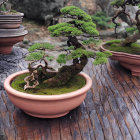 Miniature landscape with bonsai trees, train, bridge, figures, vintage clock, and water backdrop