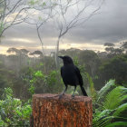 Colorful bird on stump in surreal industrial forest with looping tracks.