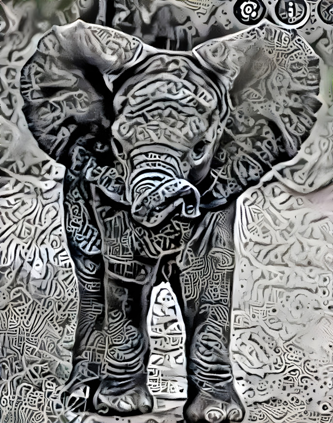 elephant