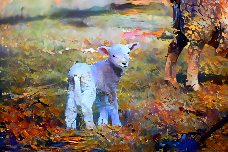 Lamb