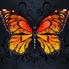 Colorful Butterfly Illustration with Detailed Patterns on Dark Background