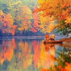 Colorful Autumn Landscape with Reflecting Trees by Tranquil Lake