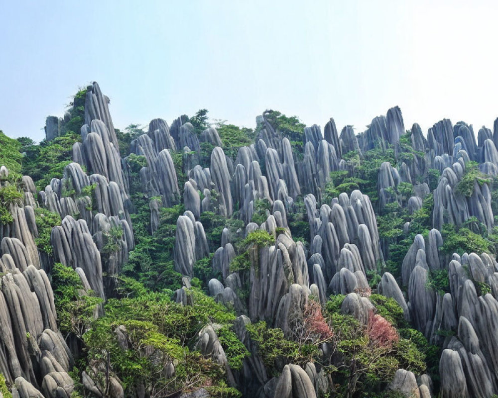 Lush green forest with tall karst limestone peaks