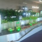 Indoor garden with futuristic plant containers and metallic backdrop