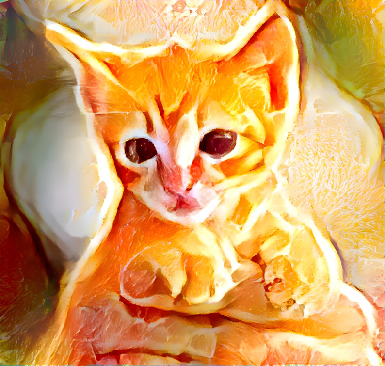 Orange Cat