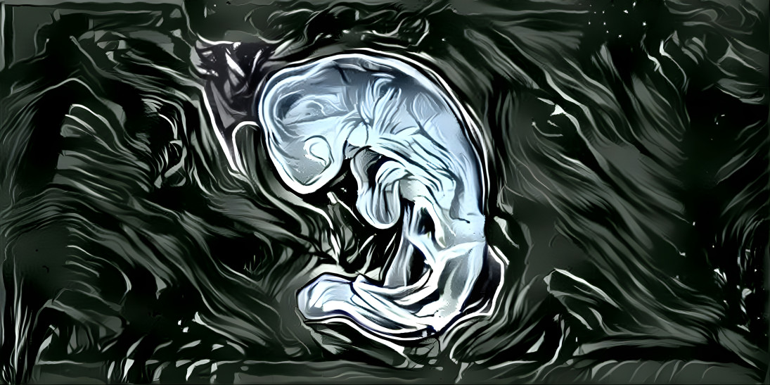 Blue Chick Embryo