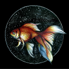 Ornate goldfish illustration with flowing fins and intricate patterns on dark background