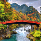 Colorful collage of bridge, boats, buildings, and floral patterns