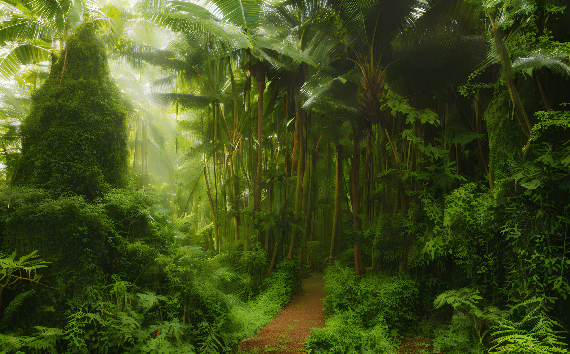 Tranquil tropical rainforest with lush greenery and sunlight beams