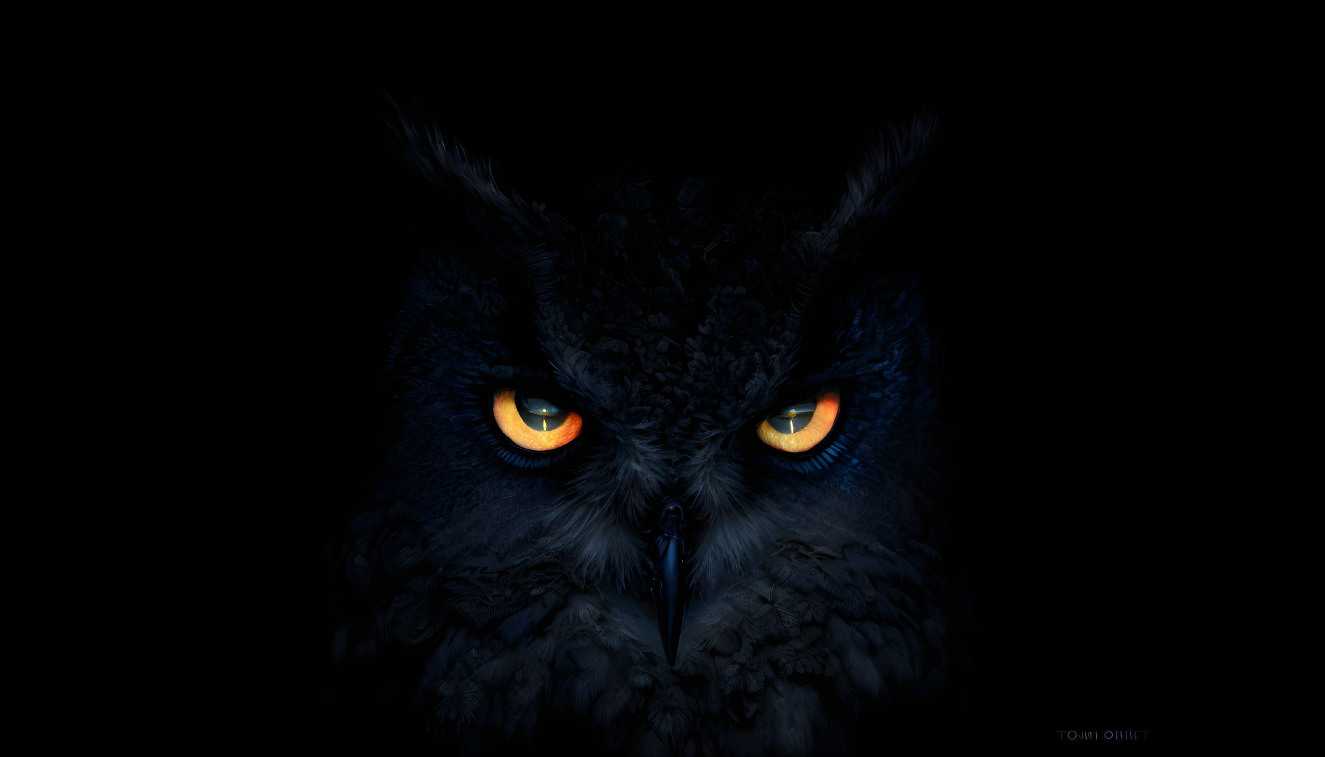 Intense owl with glowing orange eyes on black background