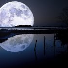 Tranquil Night Landscape with Full Moon Over Lake