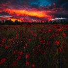 Mystical figure in vibrant, ethereal landscape with swirling orbs and fiery sky