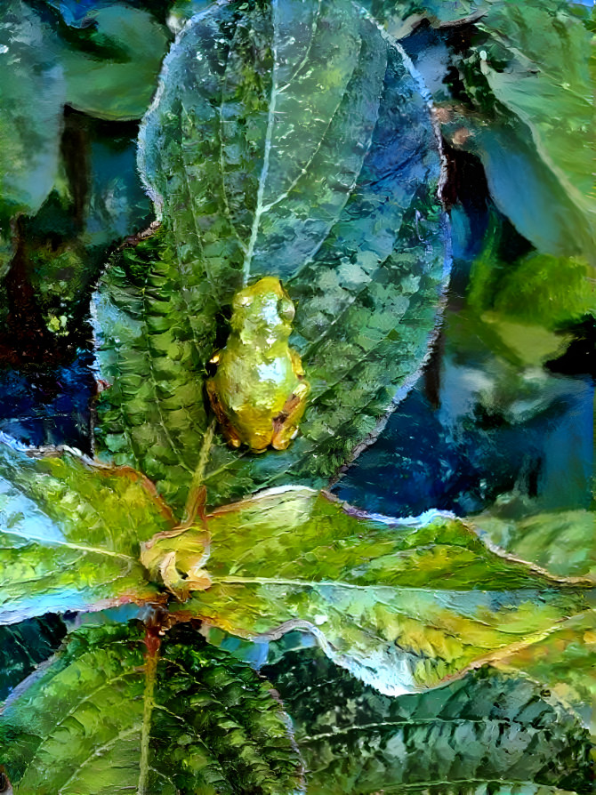 a frog on a leaf 1