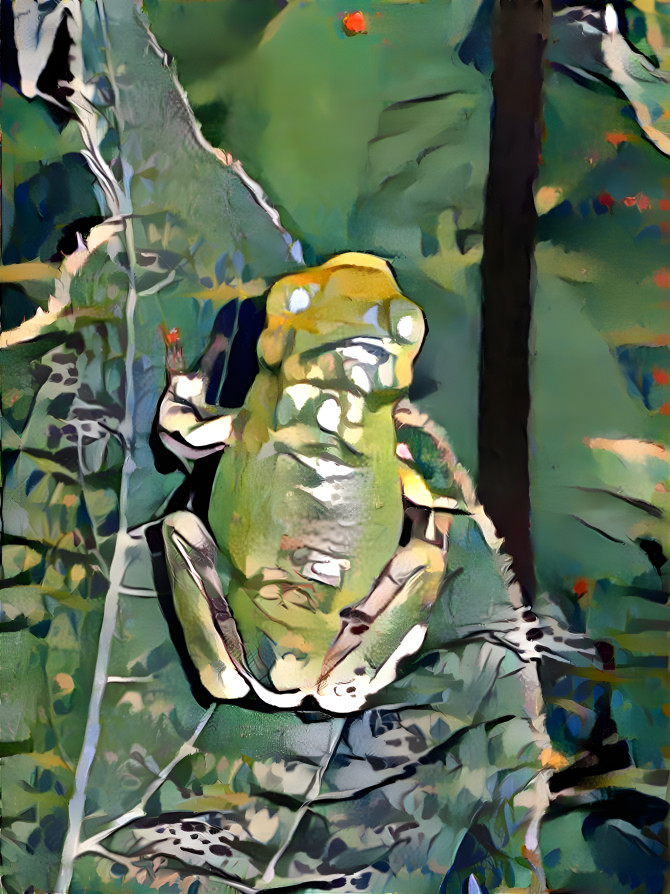 a frog on a leaf 3