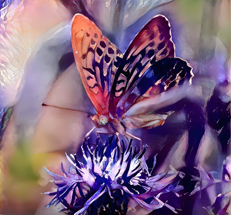 a butterfly on a thistle