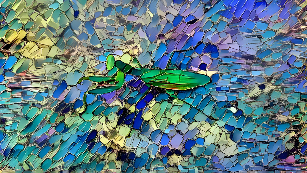 Mantis