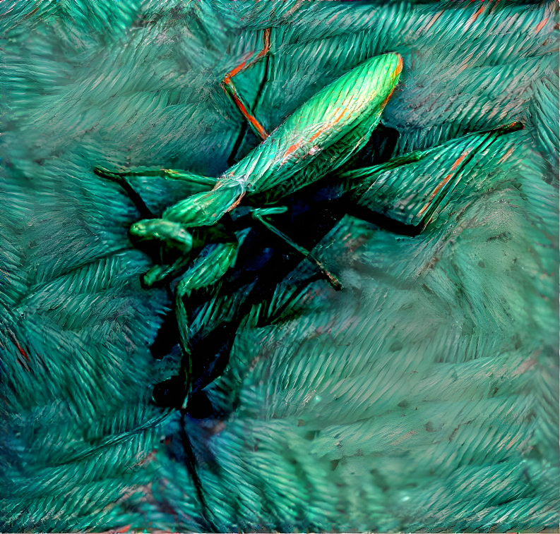 Mantis