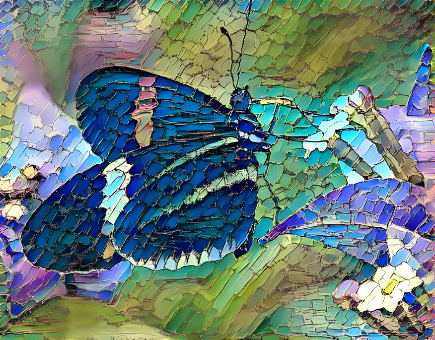 a butterfly