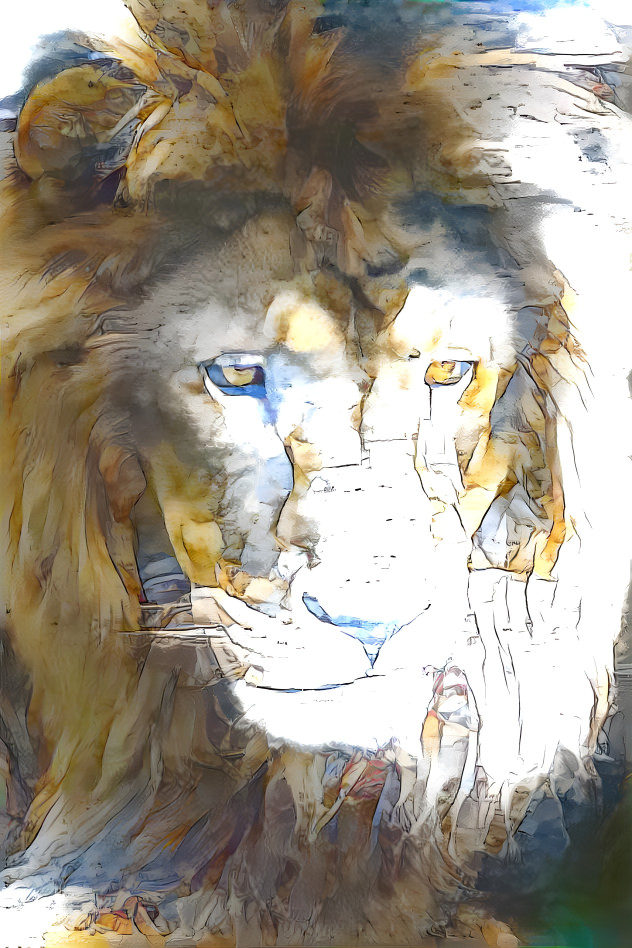 lion