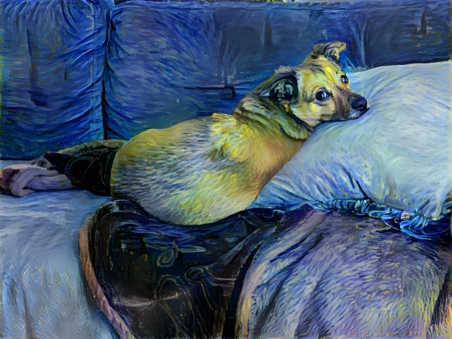 Artsy doge